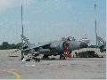 Harrier - RAF