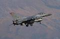F-16CJ USAFE 480 sq. Warhawks