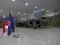MiG-29AS and Slovak, NATO and EU flags