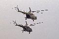 Mi-17s Slovak and Polish AF