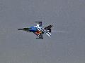 F-16C ZEUSZ DEMO,Greek AF