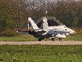 F/A-18C Hornet, Finnish AF