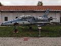 L-39ZO Dolphin,special  painted Cpeti (Sharky)