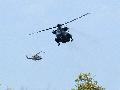 CH-53G Sea Stallion, German Army and Bell 412 Slovenia