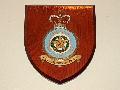 31th RAF Squadron Insigna