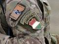 Hungarian Spec.Soldier insgnia and national patch